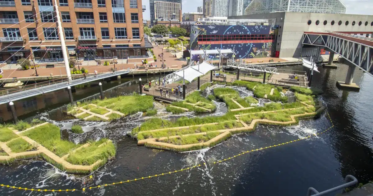 Floating wetlands with green plants are anchored in a harbor next to brick and modern buildings under a partly cloudy sky.